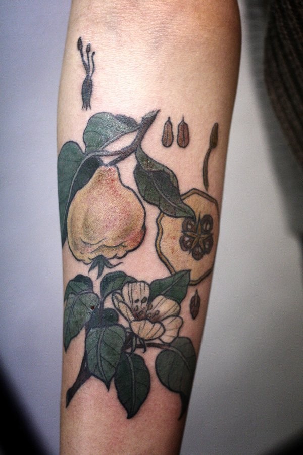 Coloured flower and fruit of quince tattoo on forearm