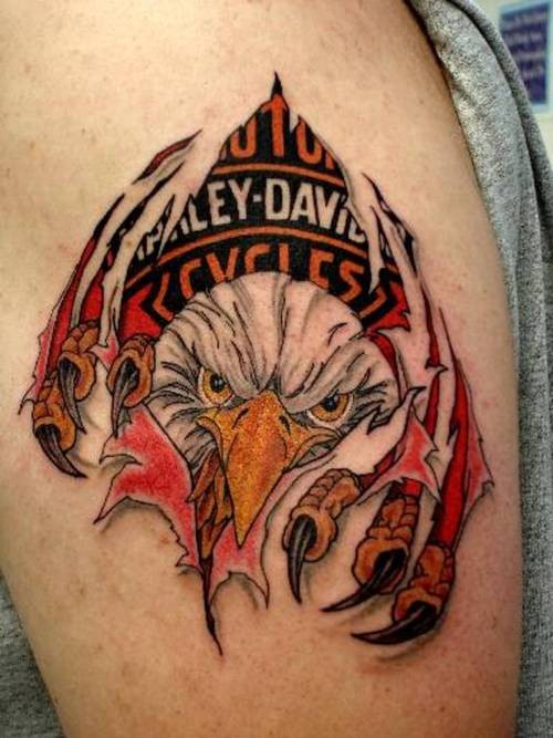 Coloured harley davidson with eagle tattoo