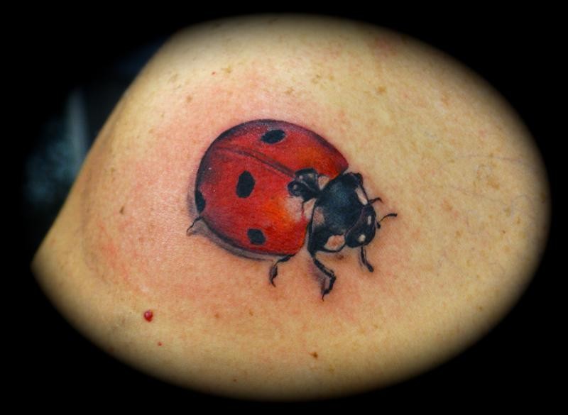 Coloured nice ladybug tattoo