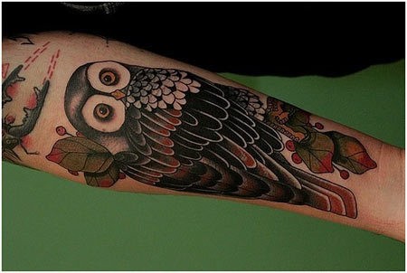 Tatuaggio colorato sul braccio il gufo