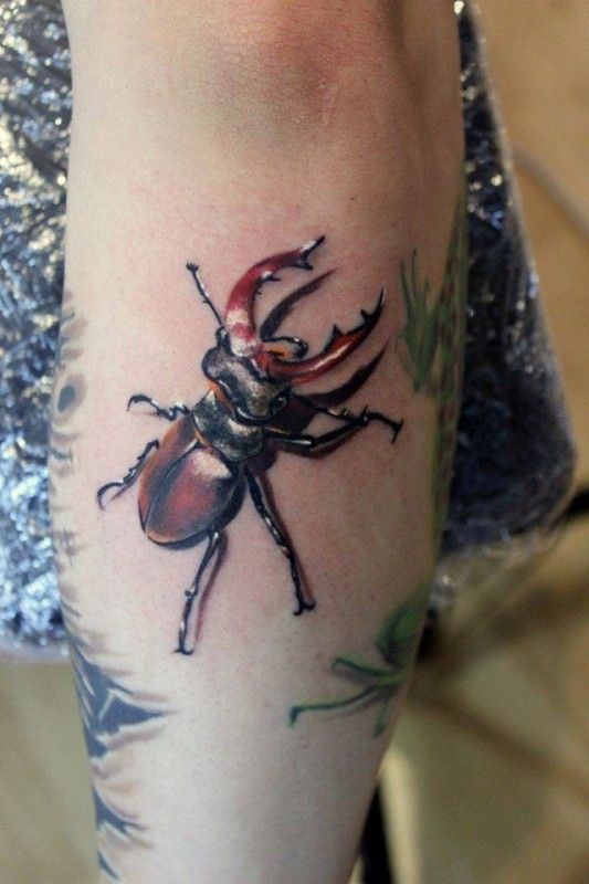 Tatuaje en el antebrazo, escarabajo  realista