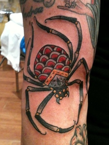 Coloured spider tattoo by andrea furci