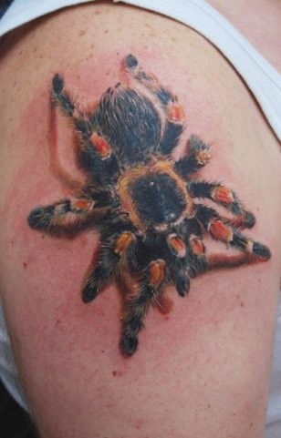 Coloured tarantula spider tattoo