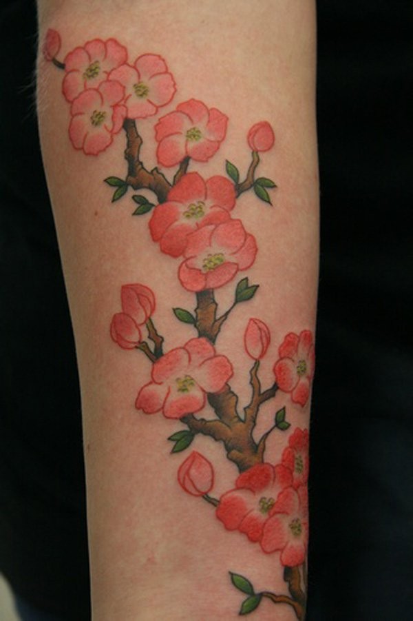 Coloured сherry blossom forearm tattoo