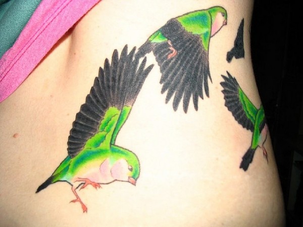 Tatuaje  de aves verdes con alas negras