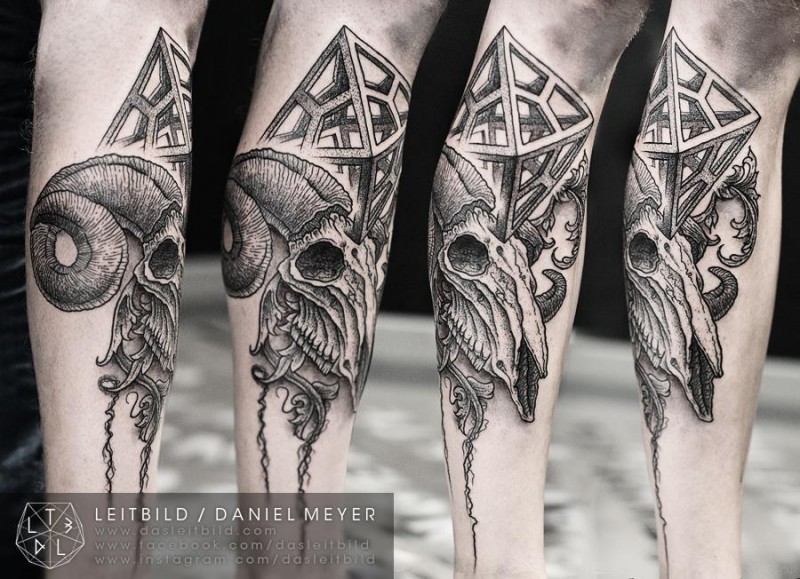 Cool linework style tattoo of animal skull with geometrical figure