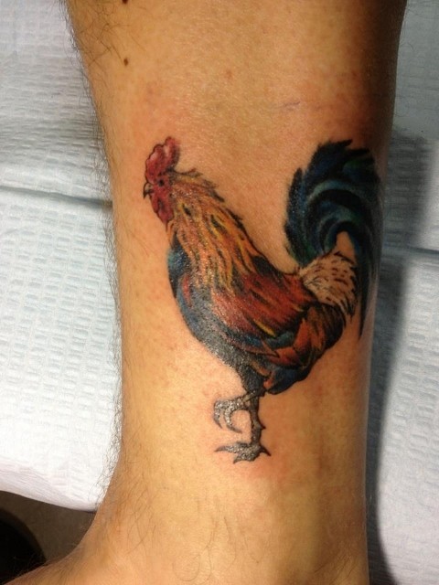 gallo di inchiostro verniciato  tatuaggio su caviglia