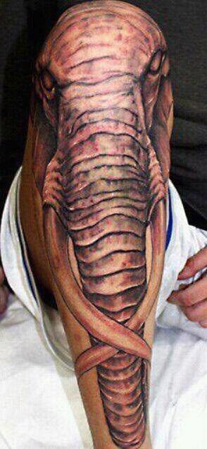 Cool realistic elephant tattoo on leg