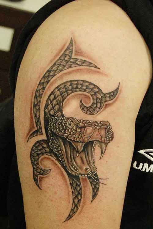 serpente aggressivo tatuaggio sulla spalla