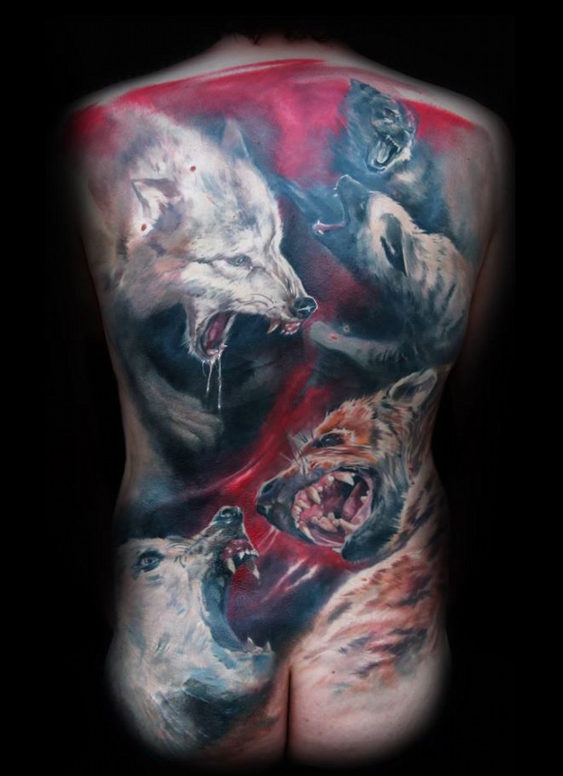 bel acquarello combattimento  di lupi tatuaggio pieno di schiena da Kamil Moc
