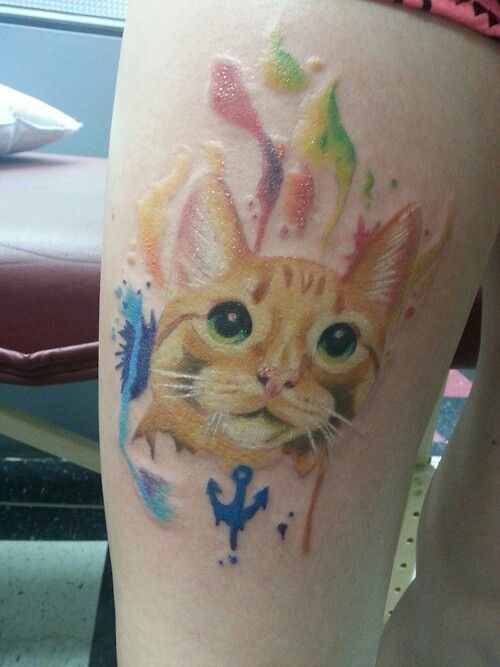 Tatuaggio colorato sulla gamba la faccia carina del gatto