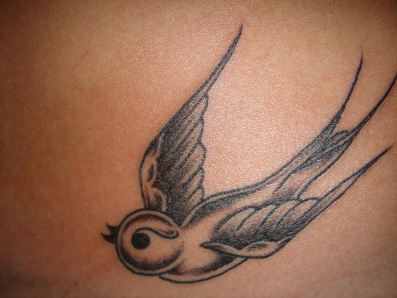 Cute bird tattoo