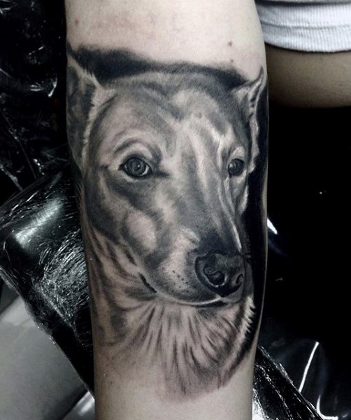 Cute black and white 3D realistic dog&quots portrait tattoo on arm