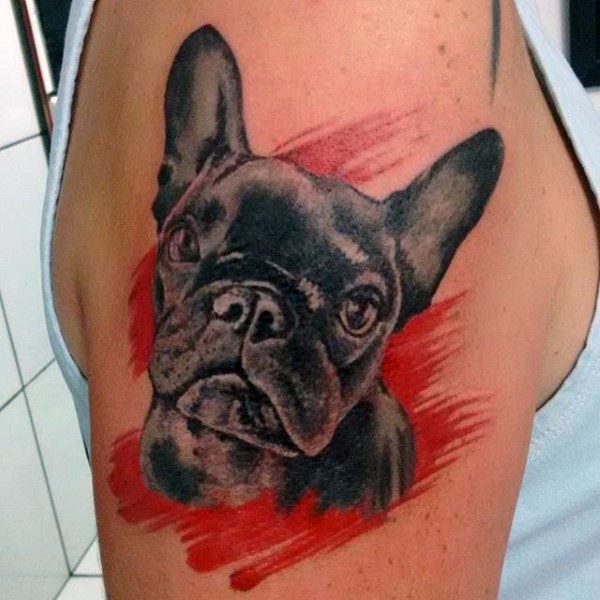 Nettes schwarzes Hundenporträt realistisches Tattoo auf der Schulter mit roten Farbentropfen