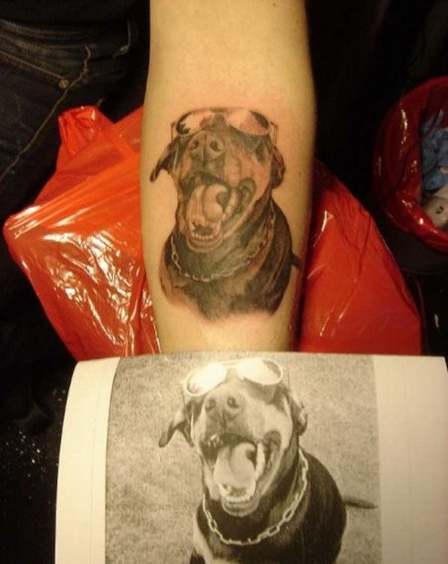 Cute gray-ink doberman in glasses tattoo on arm by photo