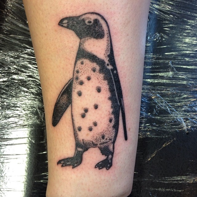 carino piccolo pinguino tatuaggio per femmina su gamba