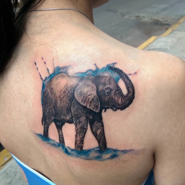 Cute looking colored scapular tattoo of elephant with water