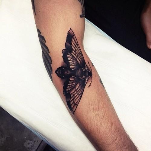Cute moth tattoo on arm design