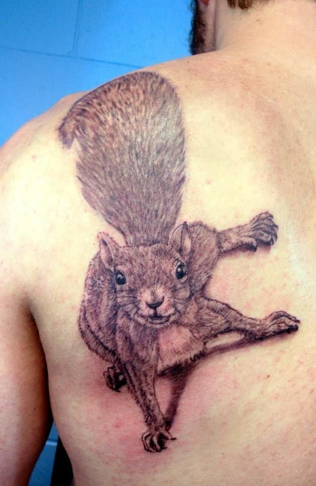 Cute squirrel tattoo on shoulder blade