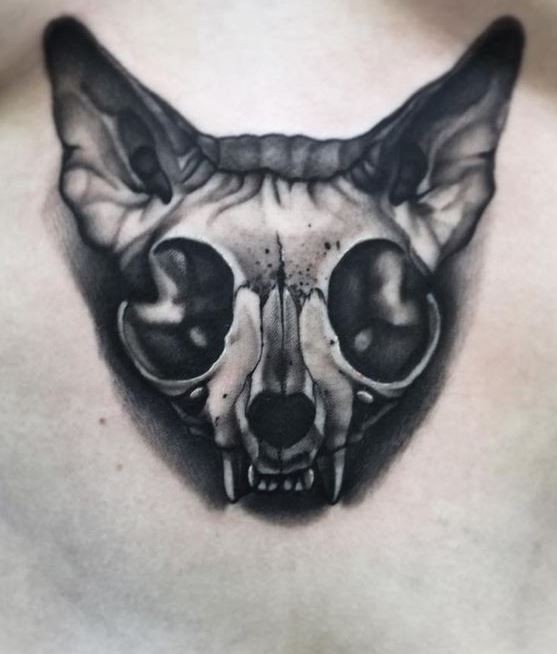 Detailed 3D style belly tattoo of cat skull