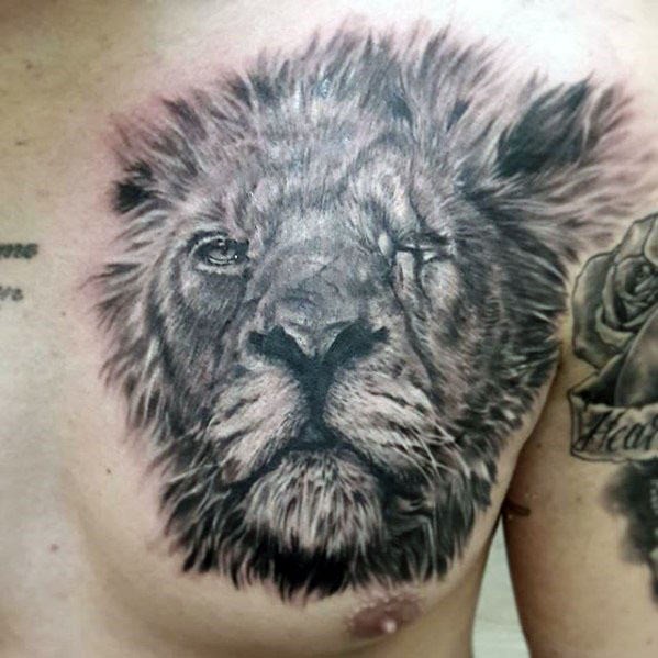 Detailed nice colored chest tattoo of old lion