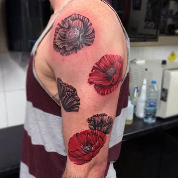 Detailed realistic colored poppy flowers tattoo on arm