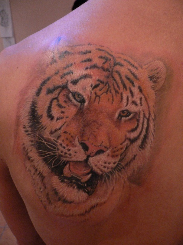 Tatuaje en el hombro, rostro de tigre lindo realista