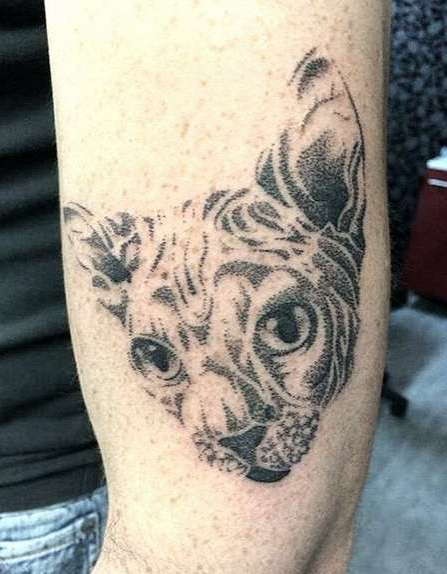 Don style painted black ink funny cat face tattoo on arm