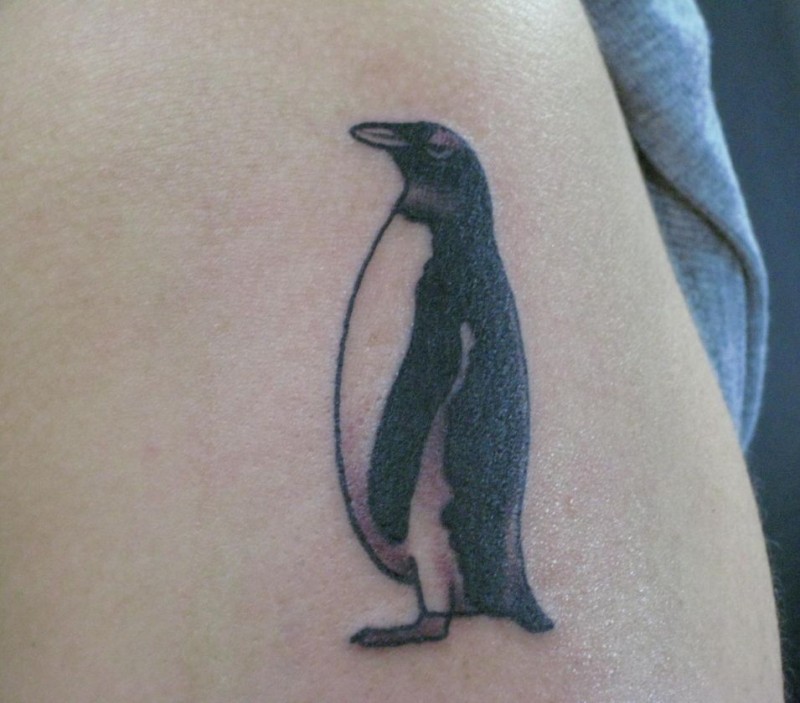 Easy dark penguin tattoo on body