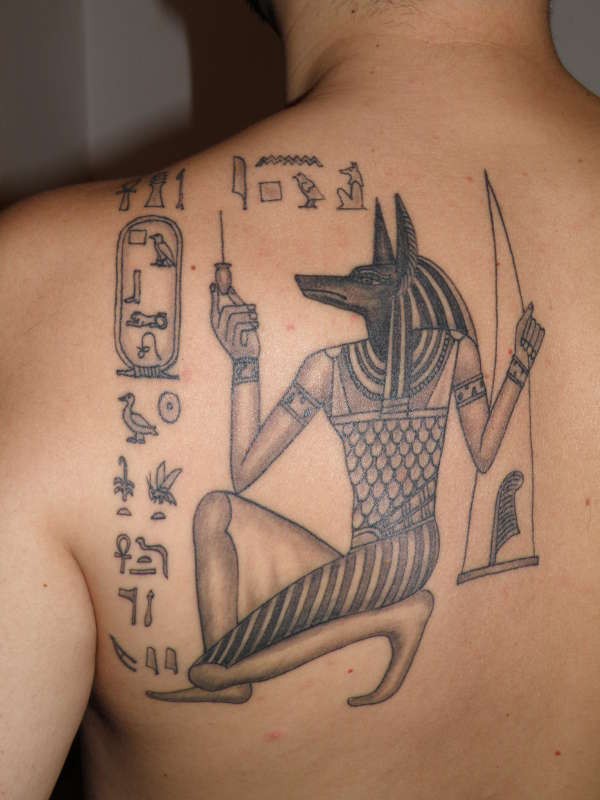 Egyptian anubis tattoo on shoulder blade