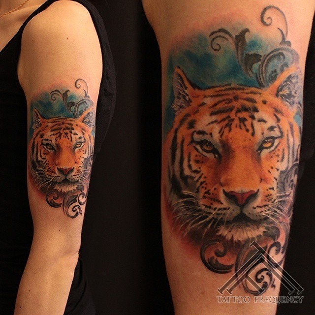 Tatuaje en el brazo, tigre sabio tranquilo lindo