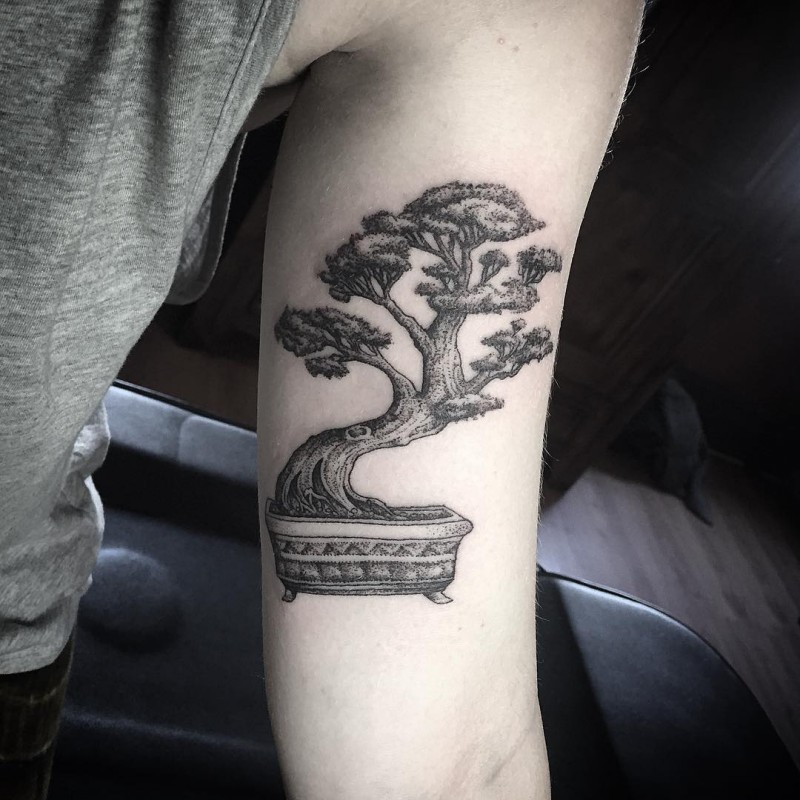 Engraving style black and white biceps tattoo of small bonsai tree