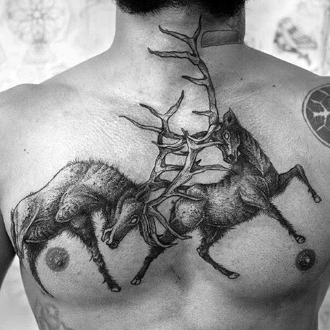 Engraving style black ink chest tattoo of fighting deers