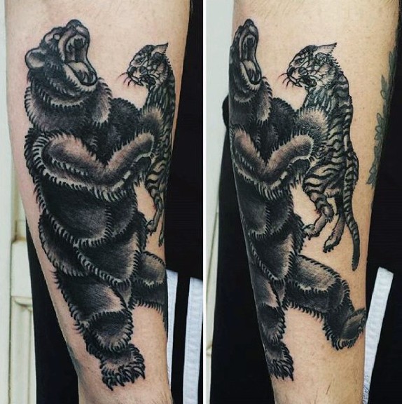 Engraving style black ink forearm tattoo of big bear and tiger