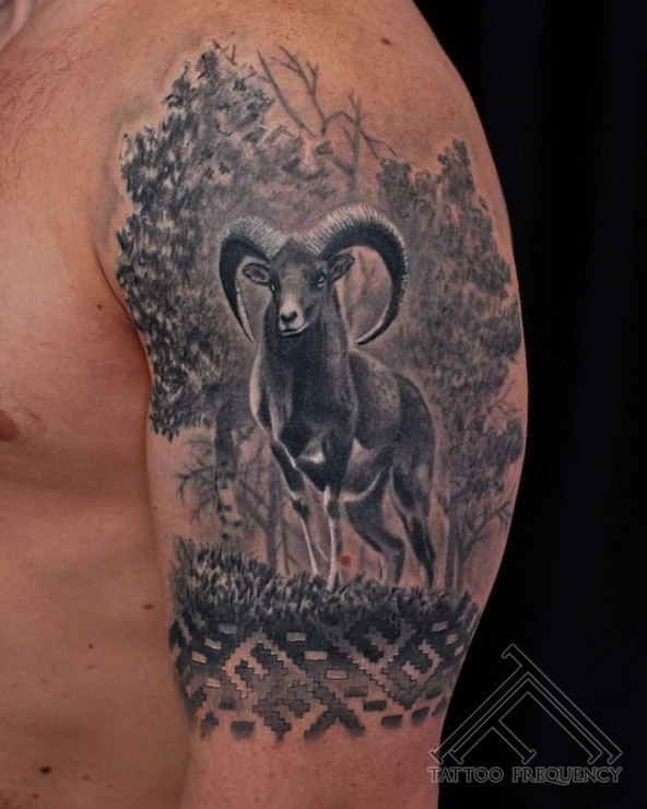 Engraving style black ink shoulder tattoo of wild goat in forest