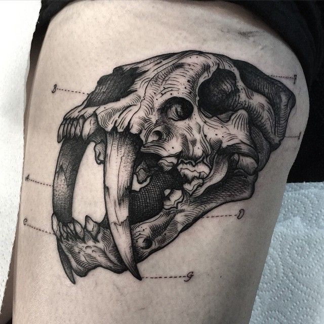 Engraving style black ink tattoo of ancient cat skull