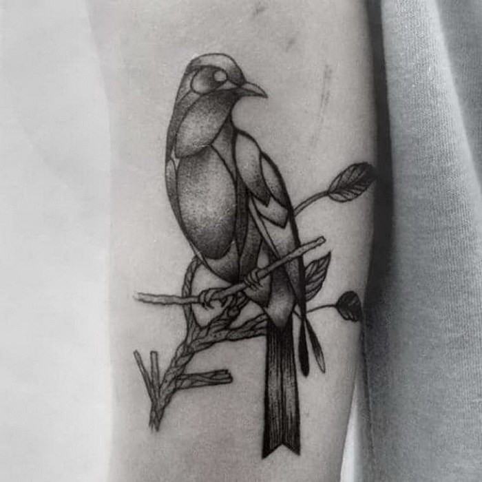 Engraving style colored arm tattoo pigeon on tree branch