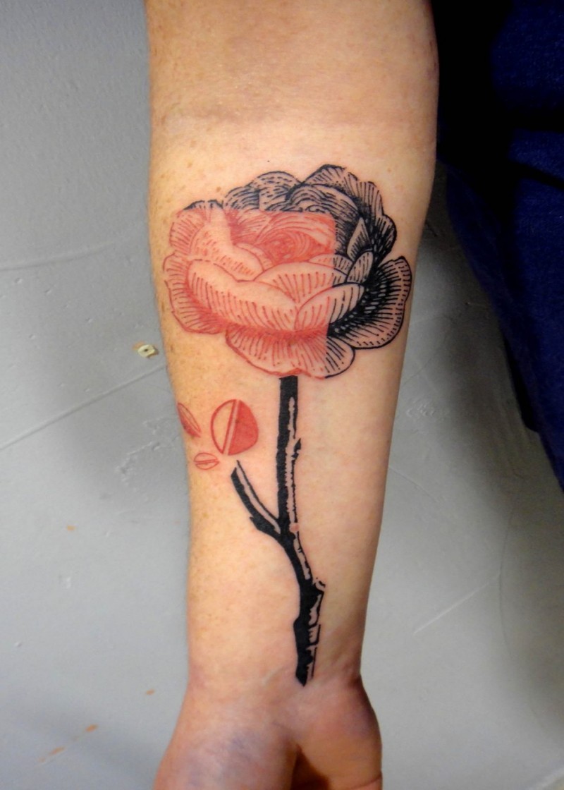 Engraving style colored forearm tattoo of rose flower