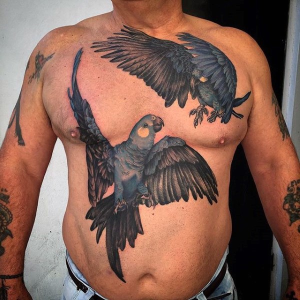 Fantastic colored realism style large flying parrots tattoo on chest
