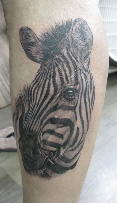 Tatuaje en la pierna, rostro de cebra triste, colores negro y blanco