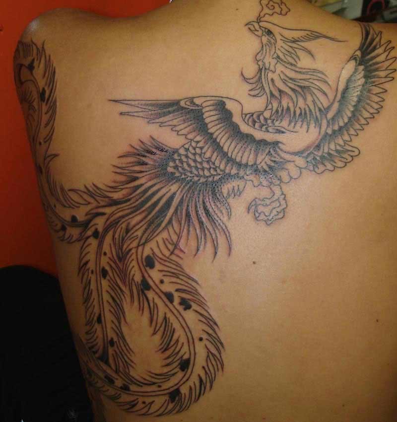 Fantastic phoenix tattoo design for women
