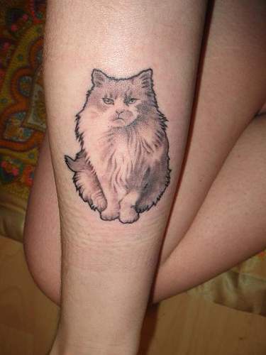 soffice gatto grigio tatuaggio sul braccio