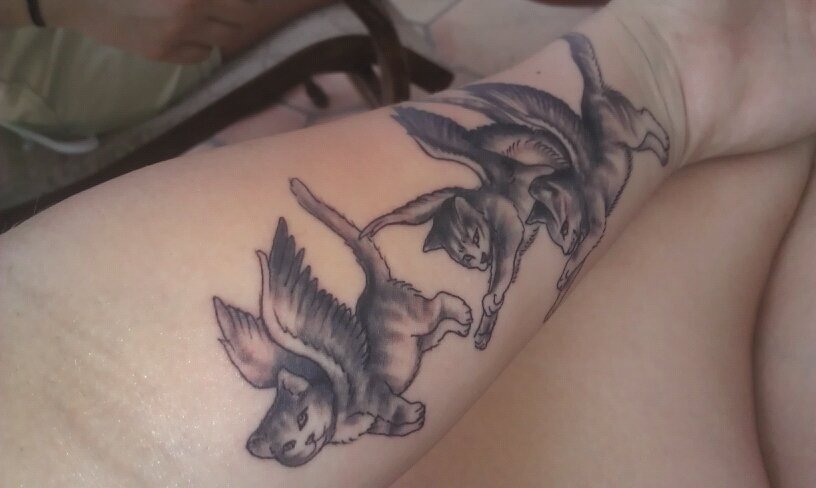 Kitten with wings black ink tattoo