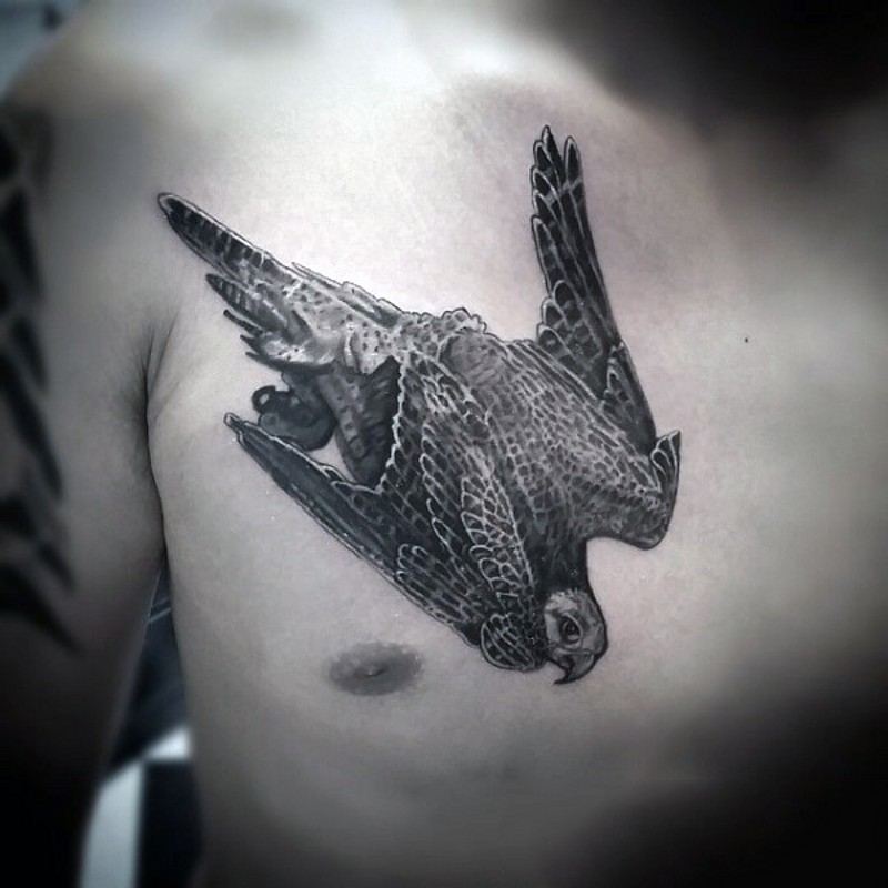 Flying down eagle detailed realistic tattoo on chest