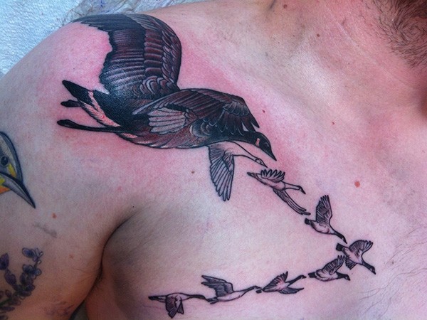 Flying flock of wild ducks detailed tattoo on shoulder and chest