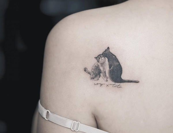For girls style detailed scapular tattoo of cats couple with lettering