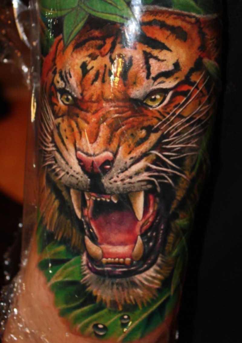 Tatuaje en el brazo, tigre impresionante pintoresco