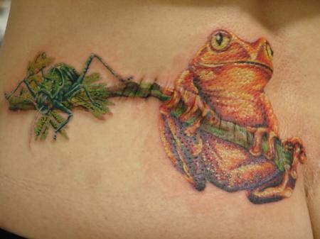 Frog and spider on a tree branch tattoo