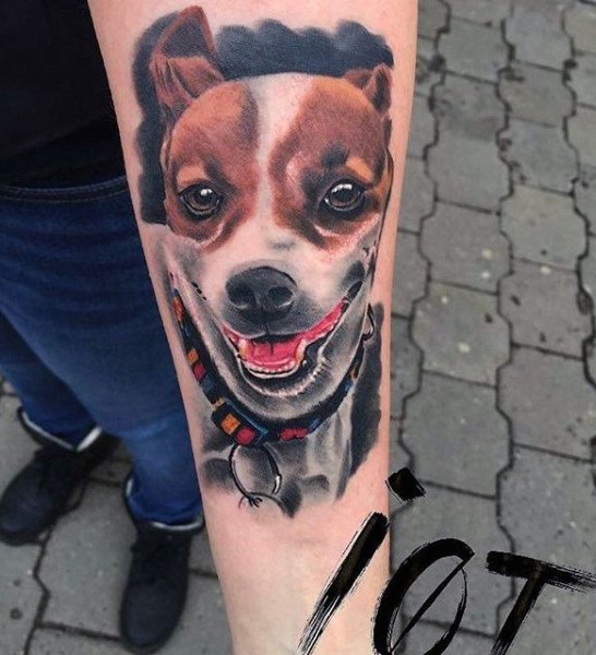 Tatuaje en el antebrazo,
retrato de perro dulce hermoso