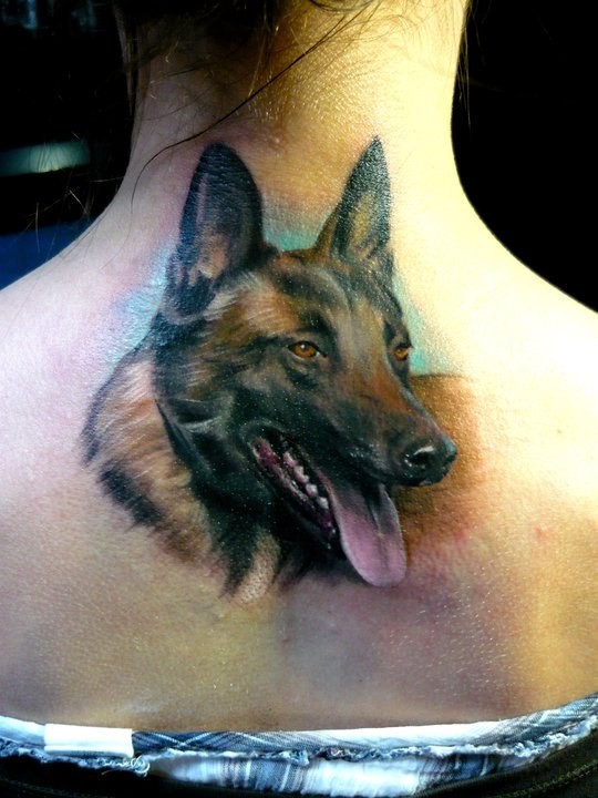 Tatuaje en la espalda, perro listo, ovejero alemán